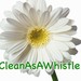 CleanAsAWhistle