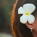 HawaiianCraftsCo