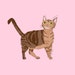 Buyer Avatar