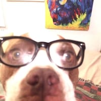 TheLostTuna