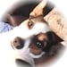 Pamela Faber-Greaves avatar