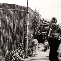 lunarillustration