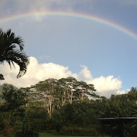 GratitudeOasis