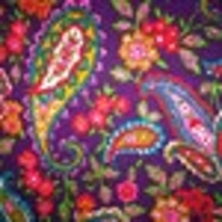 paisleyaura