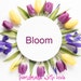 Bloom