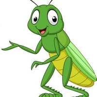 CricketPondKids