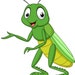 Andrea Murphy avatar