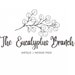 EucalyptusBranch