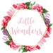 LittleWondersByJess