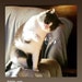 Buyer Avatar