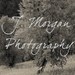 JMorganStudio avatar