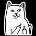 Tymie_image