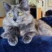 Sally