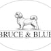 BruceandBlueCo