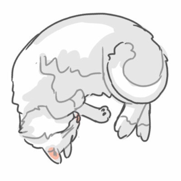 Unisex Stainless Steel Twist Chain Leather Bootstrap Double Thick FREE ...