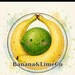 Aaron Lime