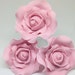 ExquisiteSugarRoses