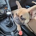 FluffyTag