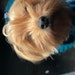 Buyer Avatar