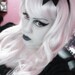 Kitten avatar