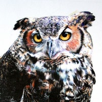 owlstudio