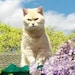 Mary Shaddix avatar