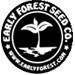 earlyforest