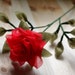 Decorrencia
