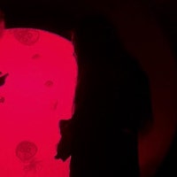 OdditiesByCoral