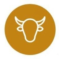 AnfaalInternational