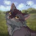 gr.aystripe