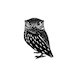 BurungOwl