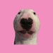 Buyer Avatar
