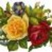 Ann Nothaft