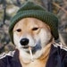 Buyer Avatar
