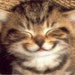 SmilingKittyKat avatar