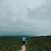 UnnaturalOneDice