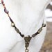 DivinEquines Neckware
