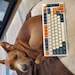 BazzisBoards