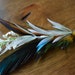 AllGrace Designs