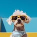 PawfectmemoriesStore