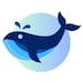 WhaleSplash Team