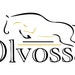Olvossa