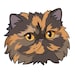Buyer Avatar