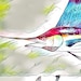 FinFeathersandFur