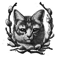 AnnLloydAntiques