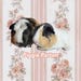 Piggie.Parton Anai