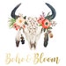 Boho and Bloom