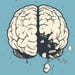 BrainRotSupply