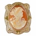 Polly Curtiss avatar